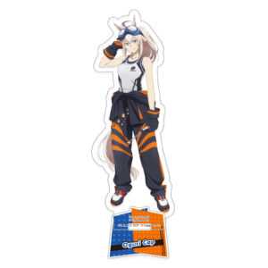 Acrylic Stand