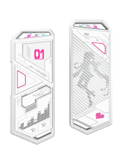 SSD Enclosure